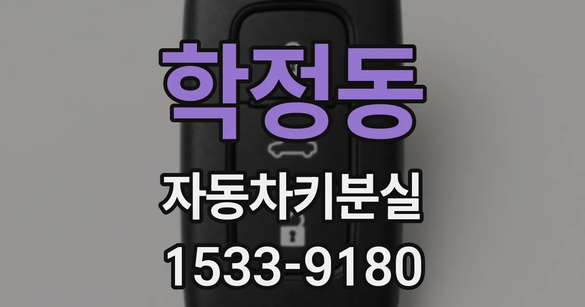 학정동 자동차키분실
