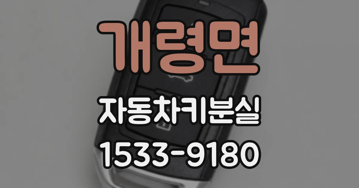 개령면 자동차키분실