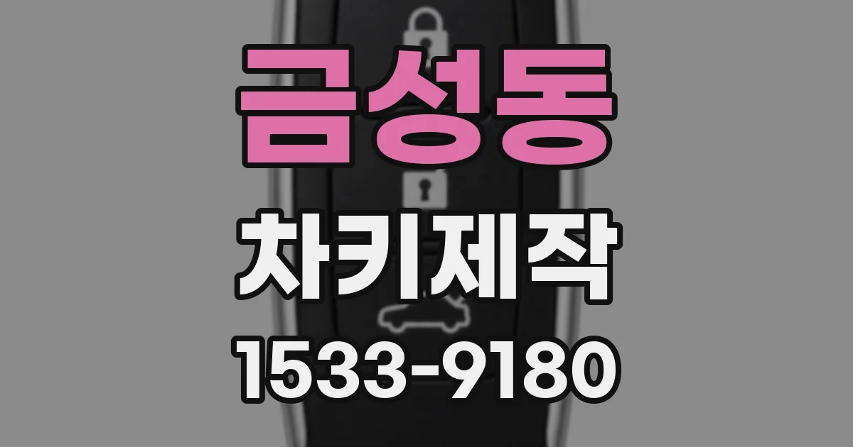 금성동 차키제작