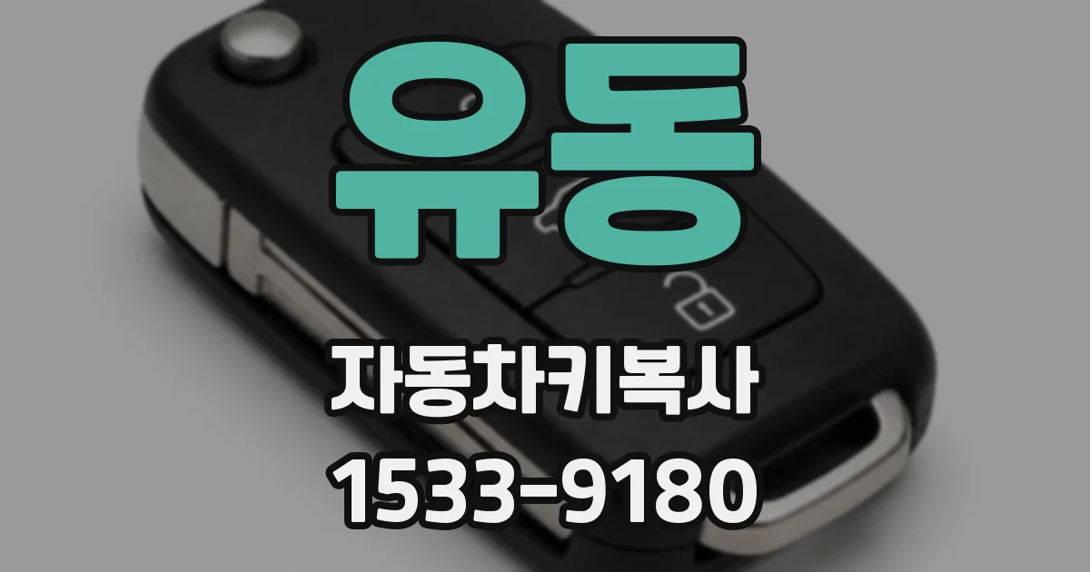 유동 자동차키복사