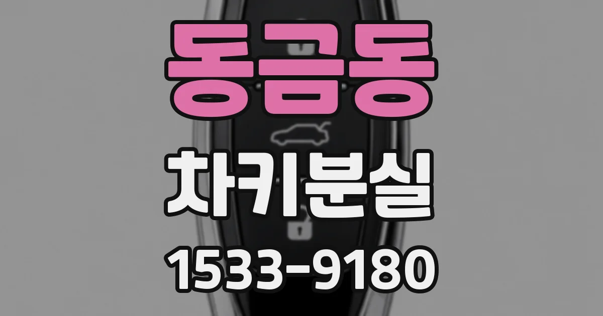 동금동 차키분실