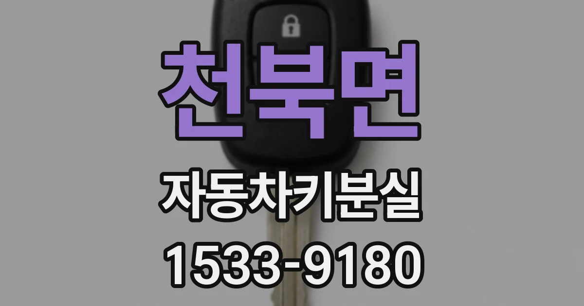 천북면 자동차키분실