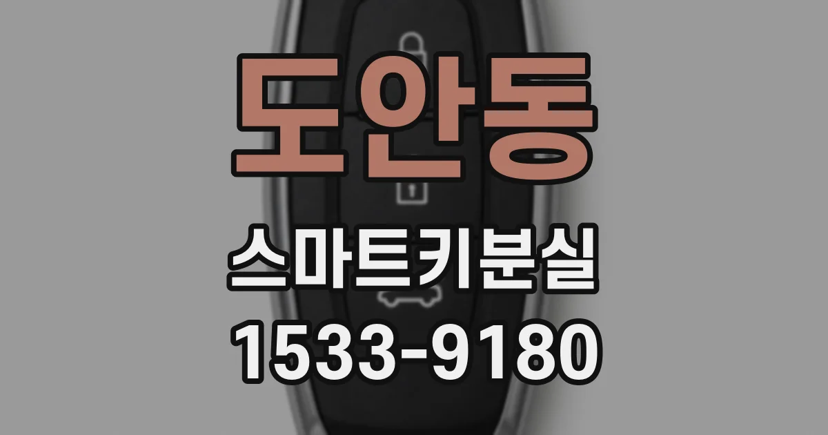 도안동 스마트키분실