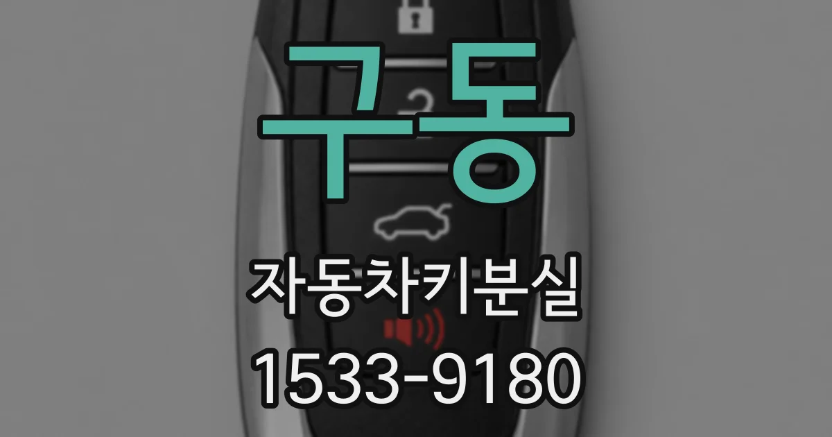구동 자동차키분실