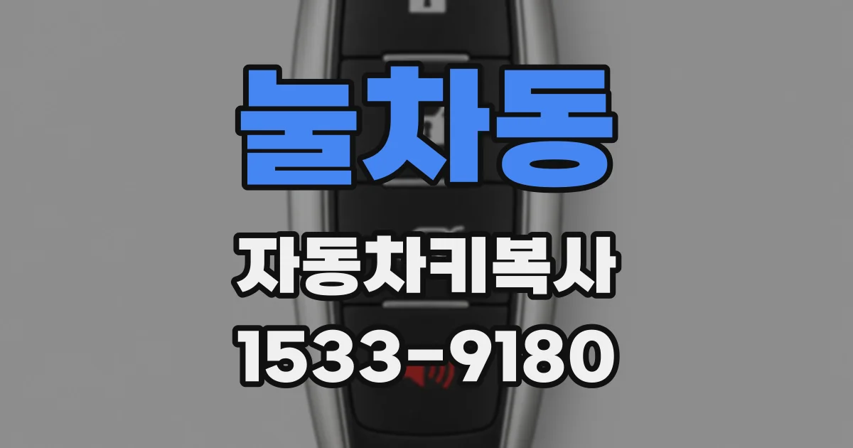 눌차동 자동차키복사