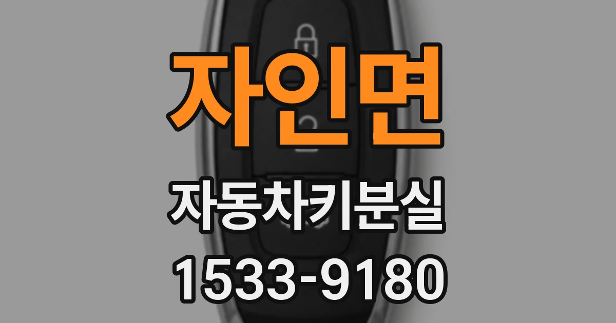 자인면 자동차키분실