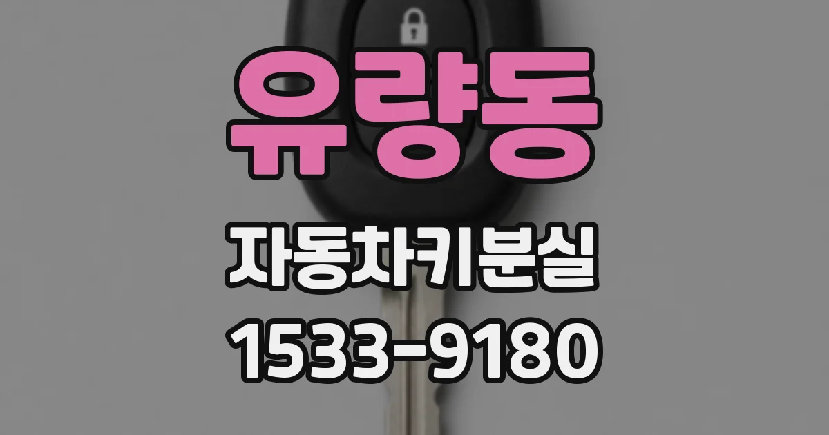 유량동 자동차키분실