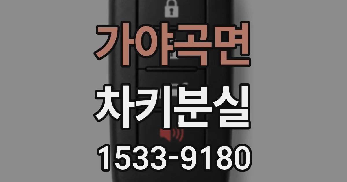 가야곡면 차키분실
