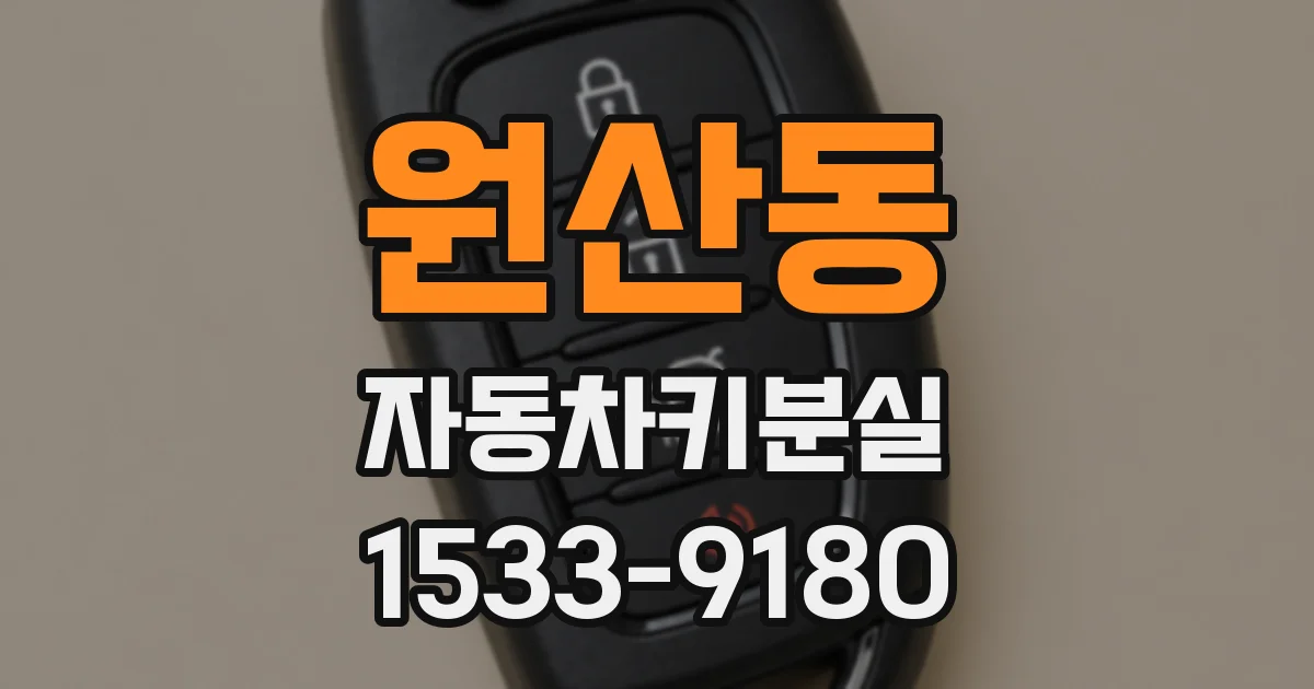 원산동 자동차키분실