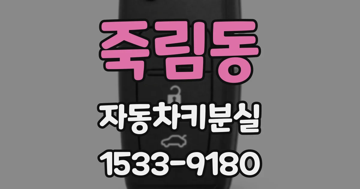 죽림동 자동차키분실
