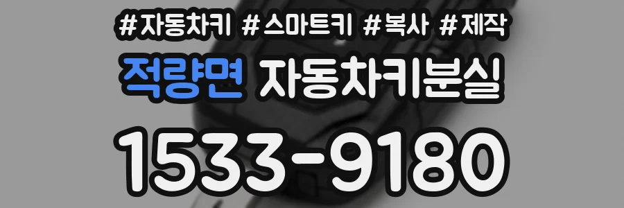 적량면 자동차키분실