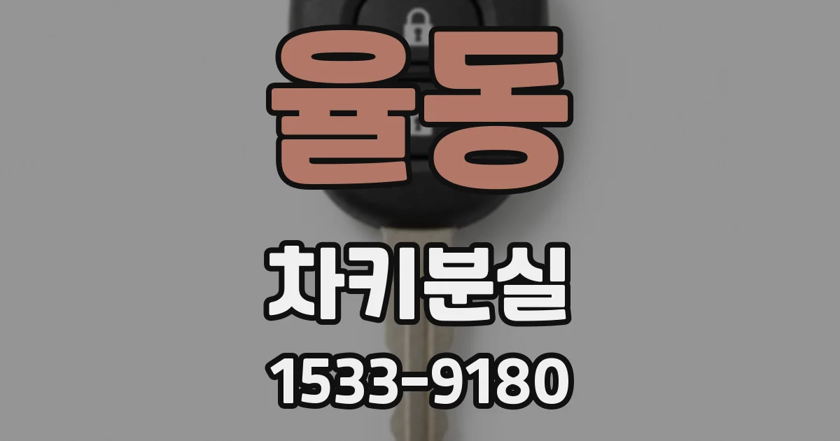 율동 차키분실