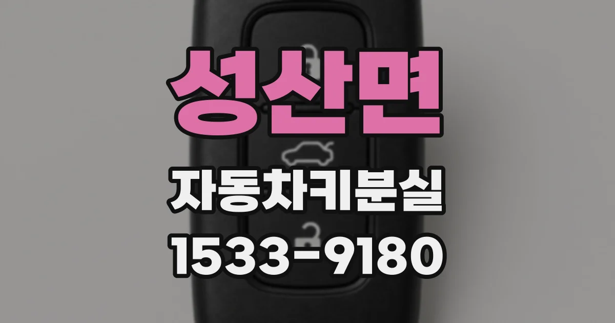 성산면 자동차키분실