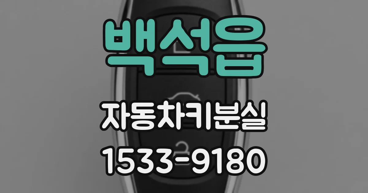 백석읍 자동차키분실