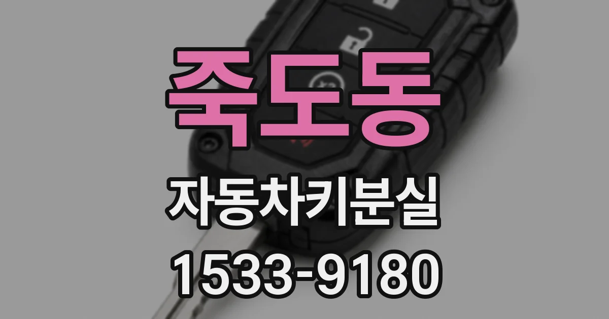 죽도동 자동차키분실