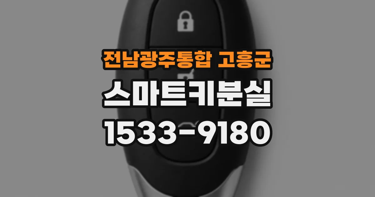 전남광주통합 고흥군 스마트키분실