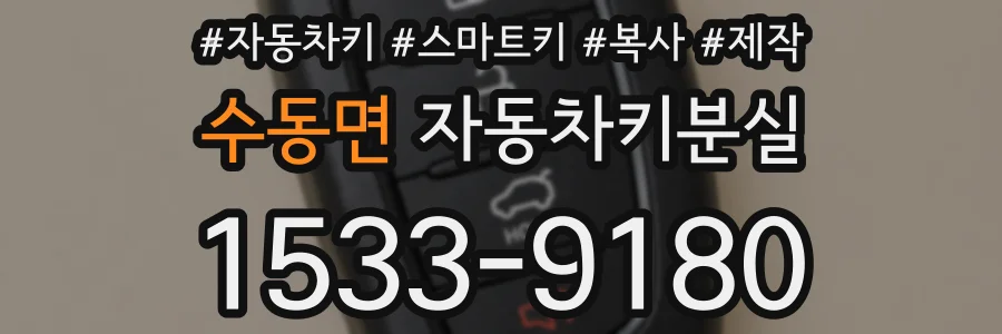 수동면 자동차키분실