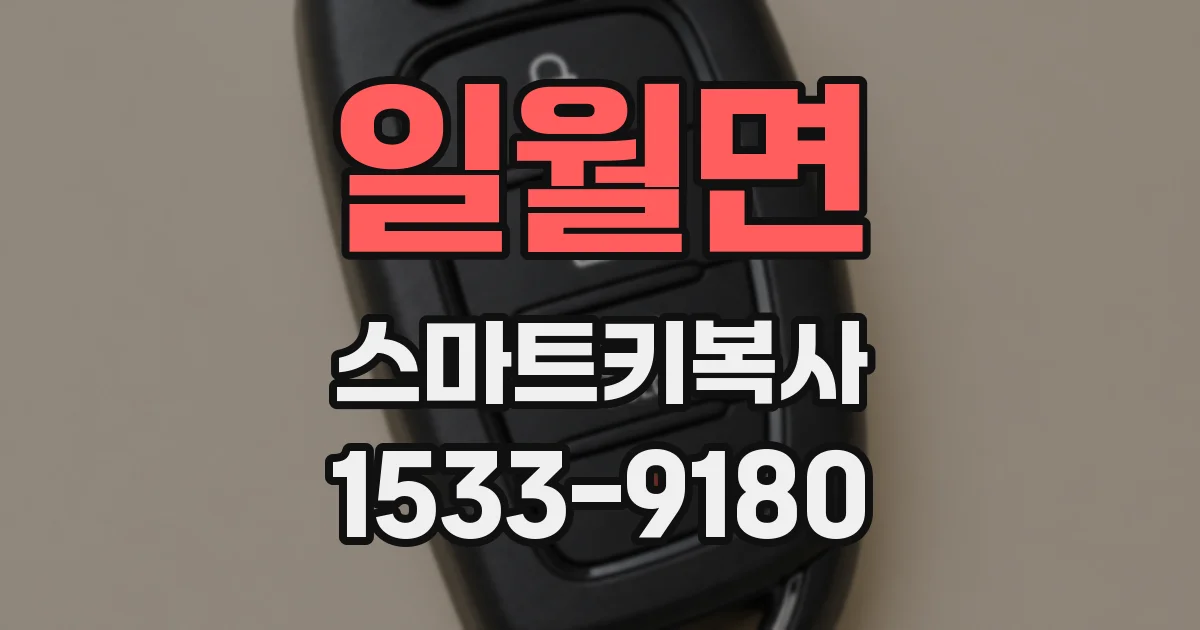 일월면 스마트키복사