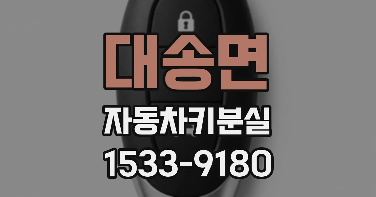 대송면 자동차키분실