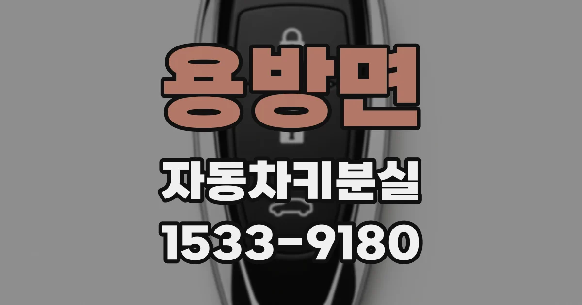 용방면 자동차키분실