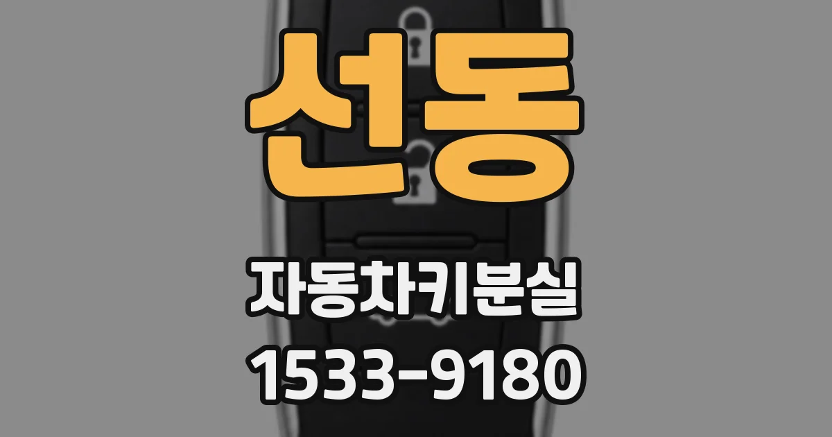 선동 자동차키분실