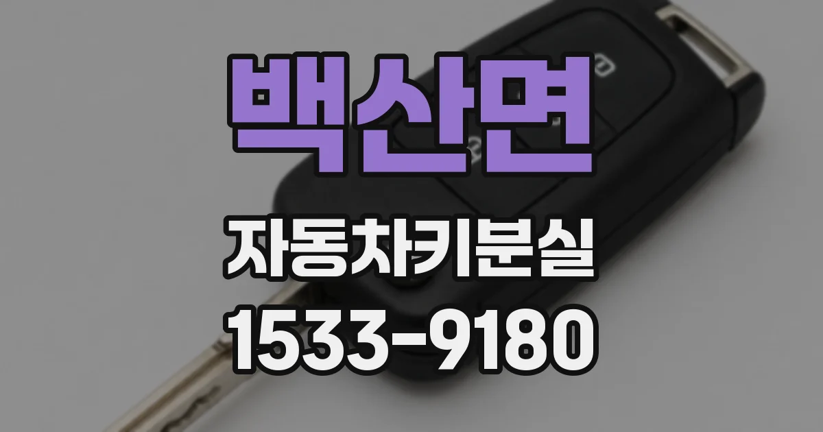 백산면 자동차키분실