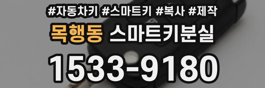 목행동 스마트키분실