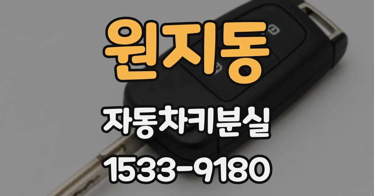 원지동 자동차키분실