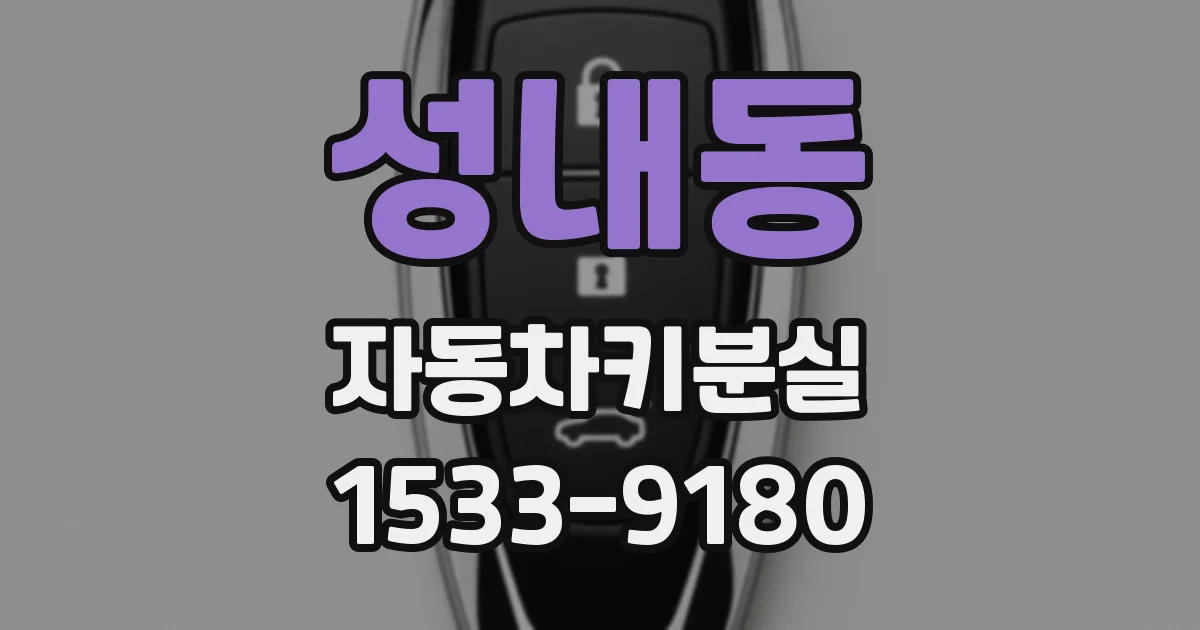 성내동 자동차키분실