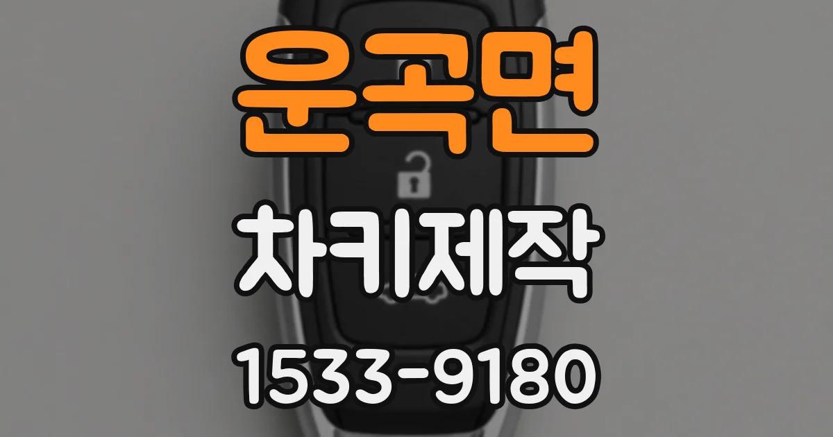 운곡면 차키제작