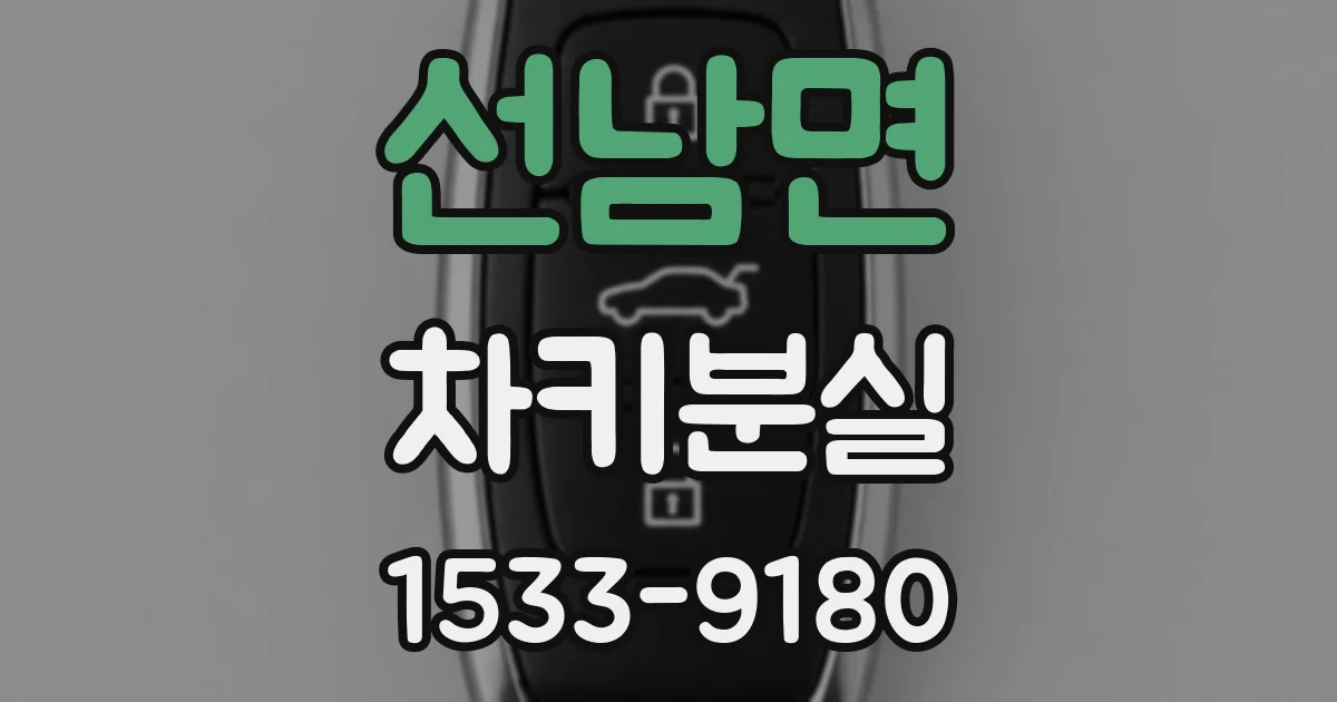 선남면 차키분실