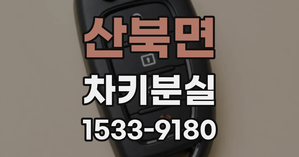 산북면 차키분실