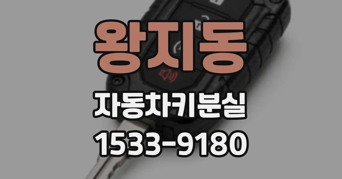 왕지동 자동차키분실