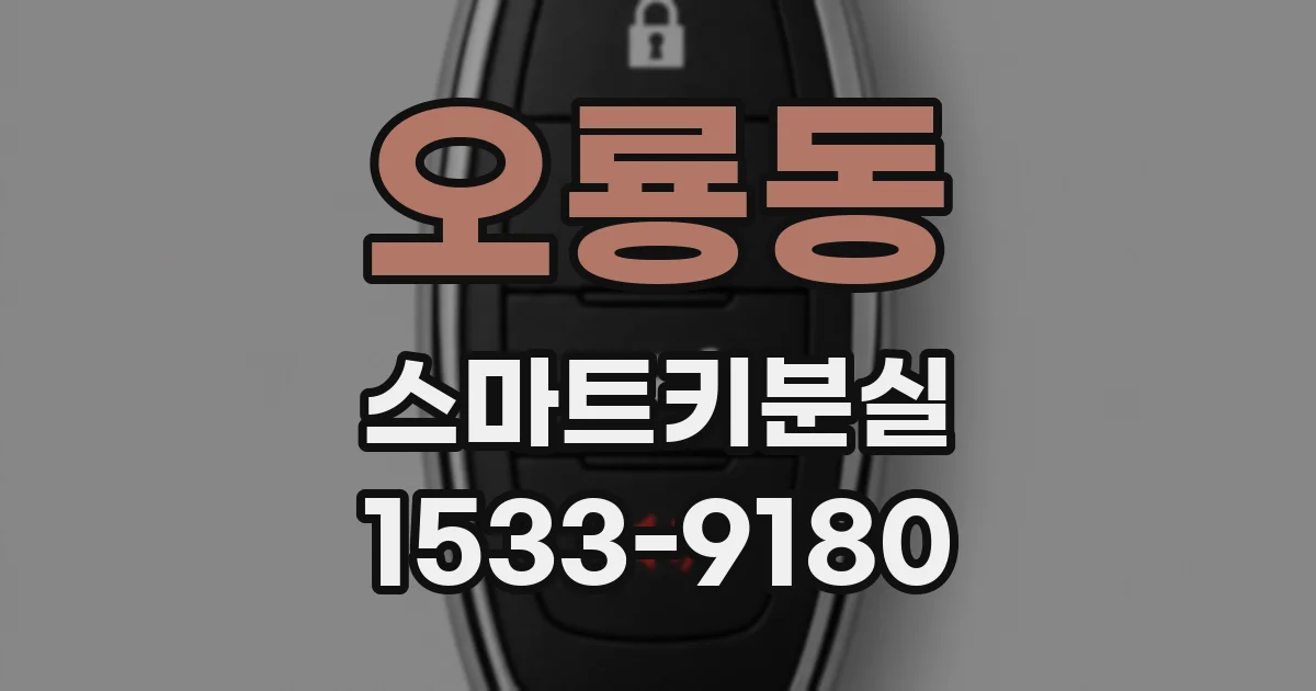 오룡동 스마트키분실