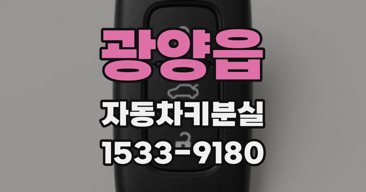 광양읍 자동차키분실