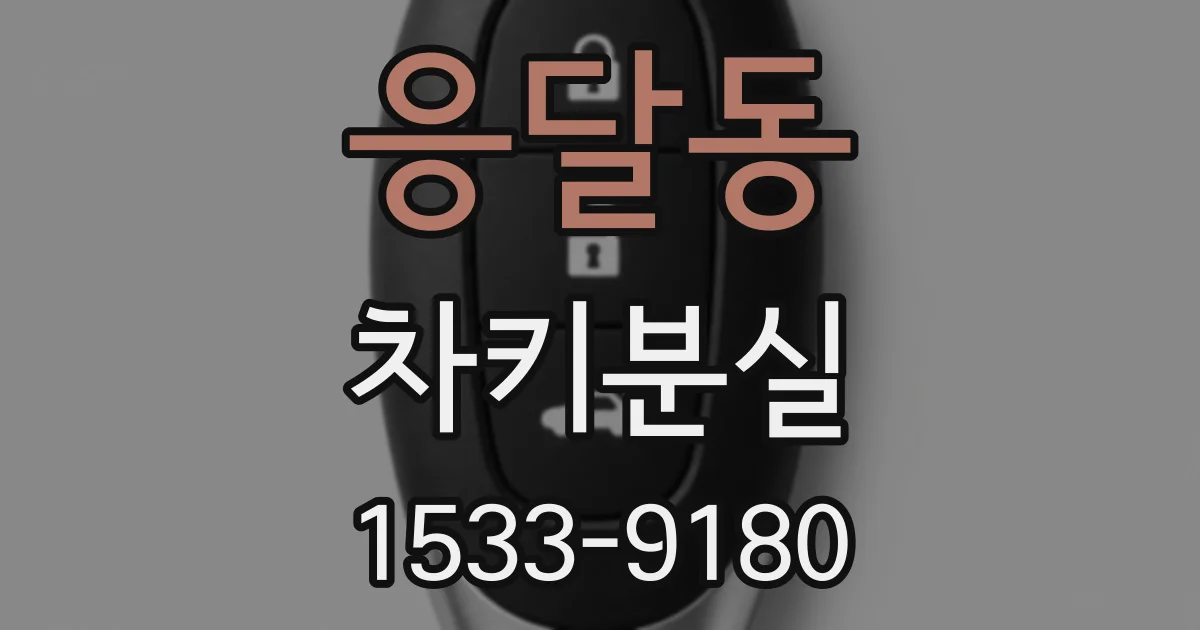 응달동 차키분실
