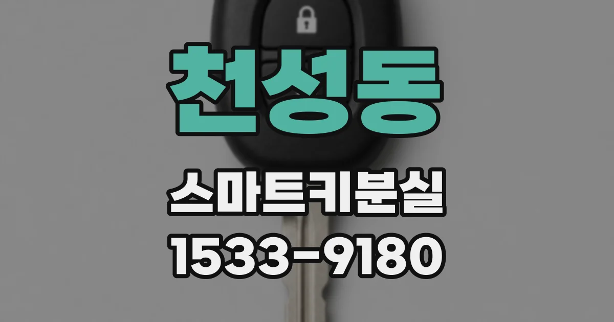 천성동 스마트키분실