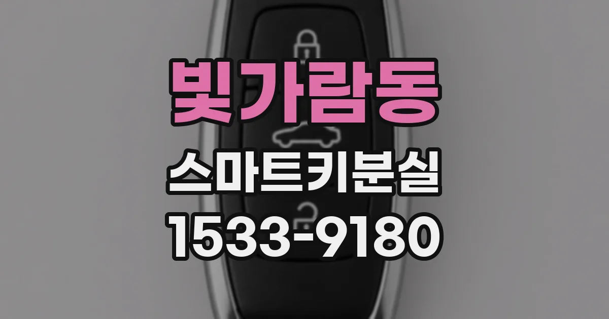 빛가람동 스마트키분실