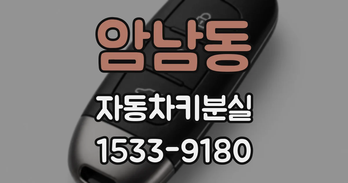 암남동 자동차키분실