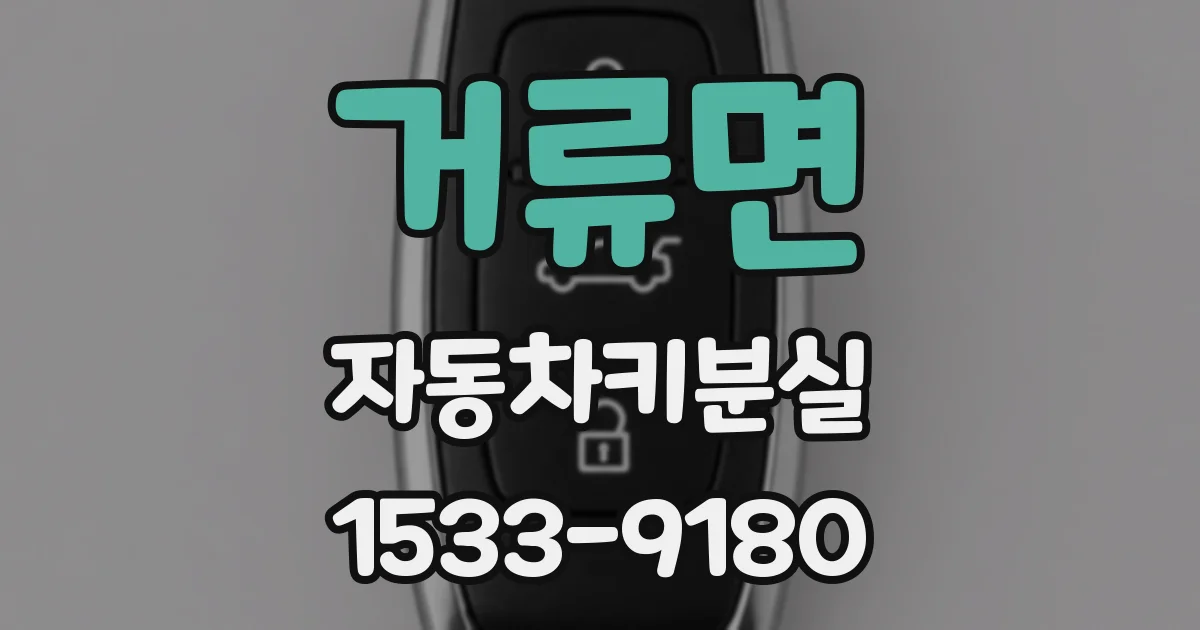 거류면 자동차키분실