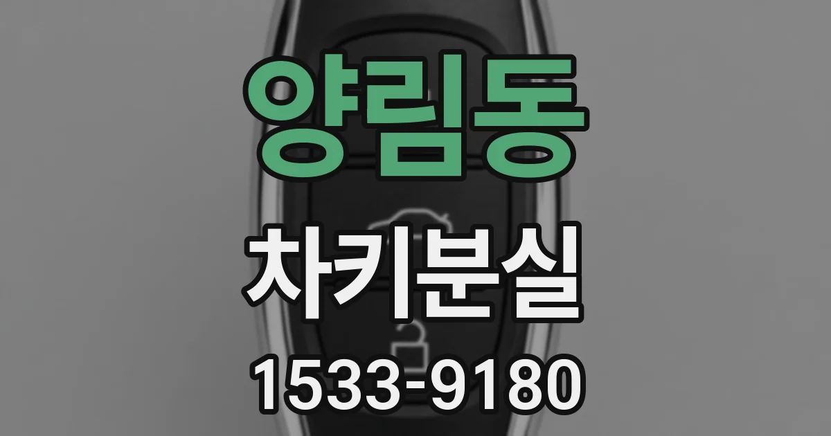 양림동 차키분실