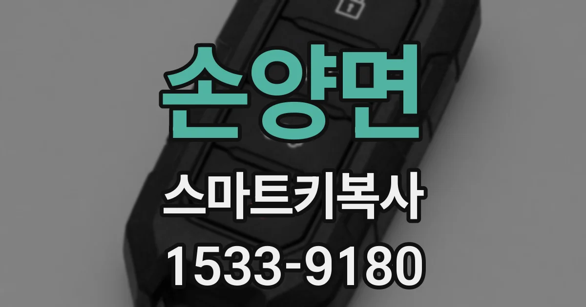 손양면 스마트키복사