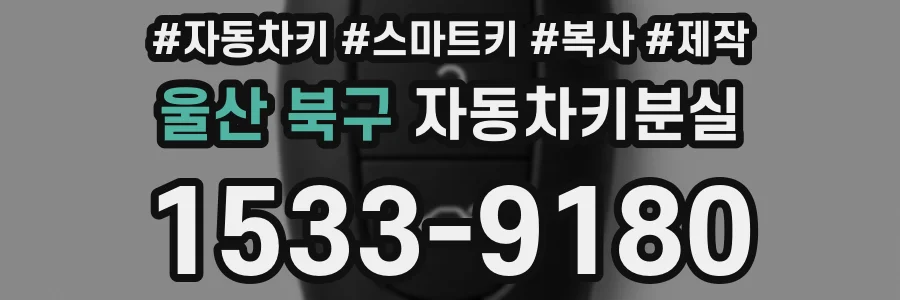 울산 북구 자동차키분실