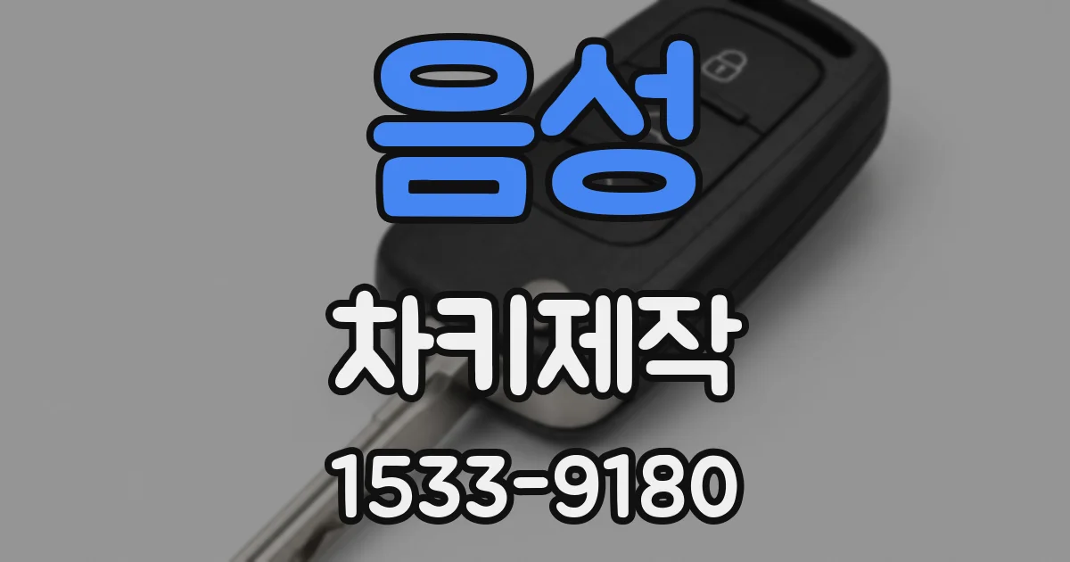 음성 차키제작