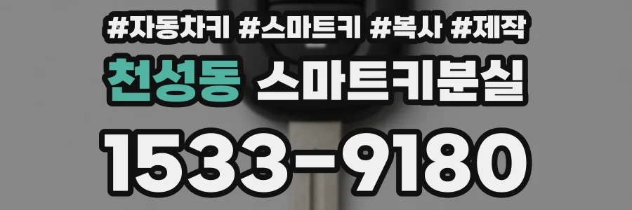 천성동 스마트키분실