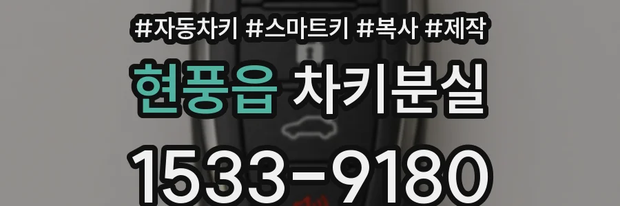 현풍읍 차키분실