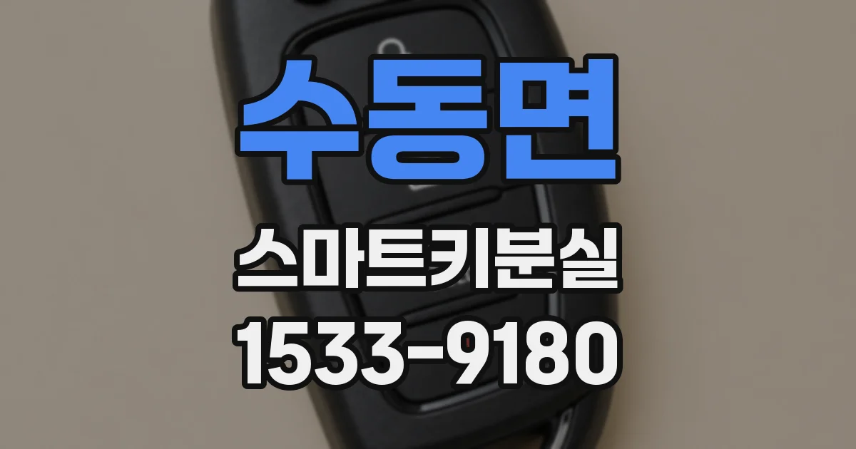 수동면 스마트키분실