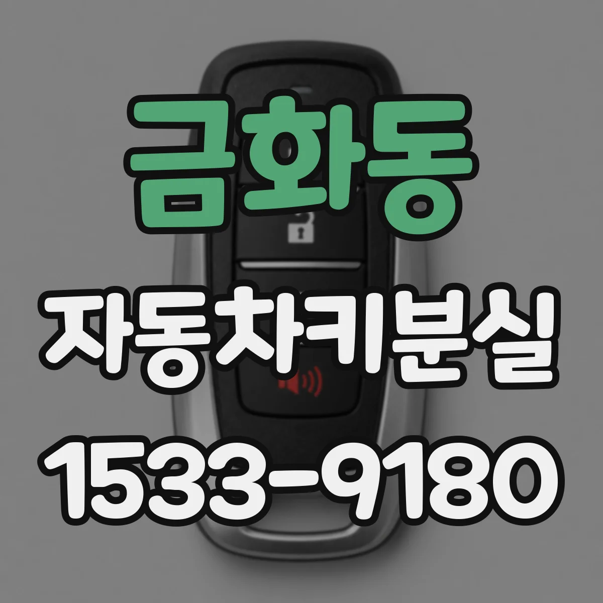 금화동 자동차키분실