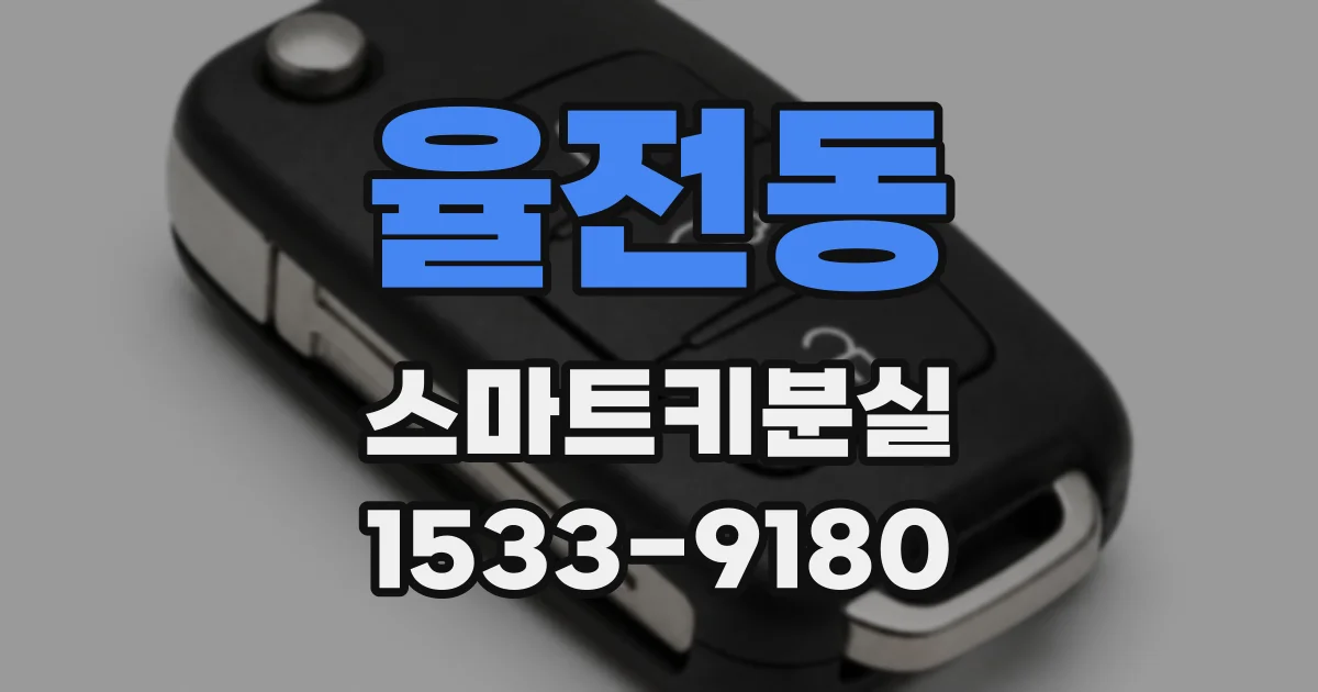 율전동 스마트키분실