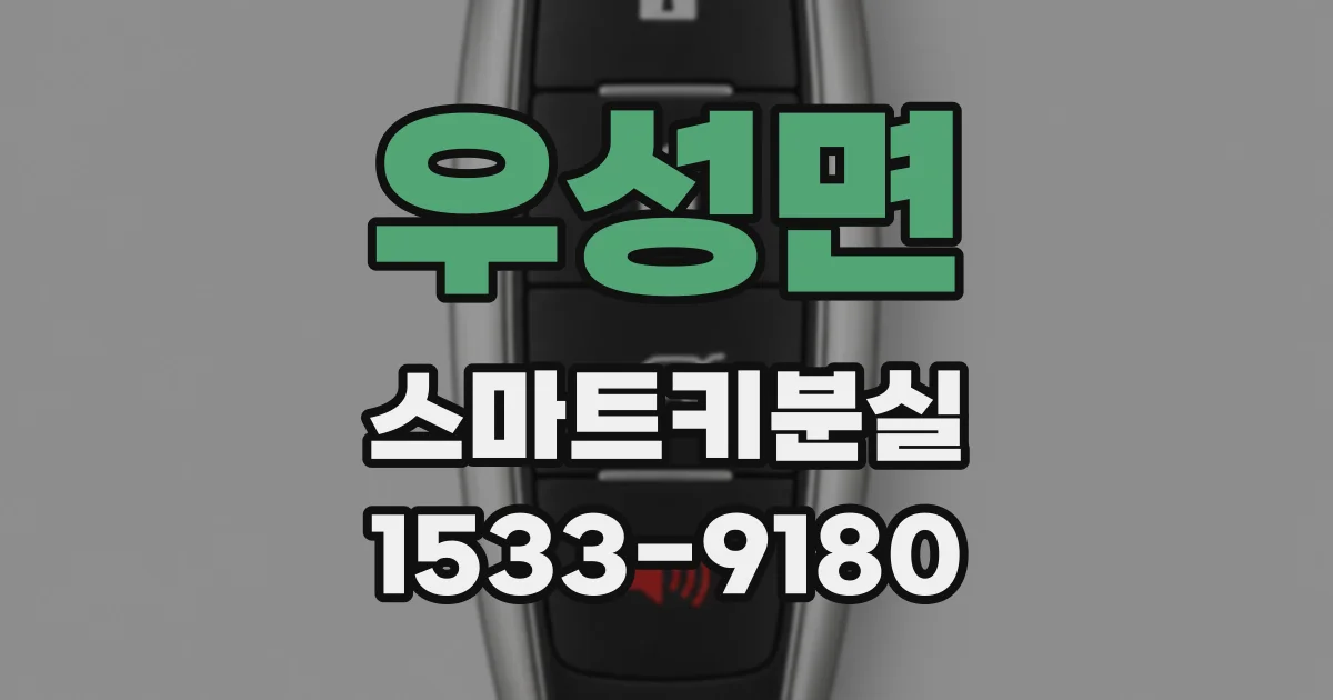 우성면 스마트키분실